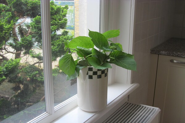 Foto van Vakantiehuis Harlingen bij Zee - Vakantiehuis in Harlingen - Ambiance