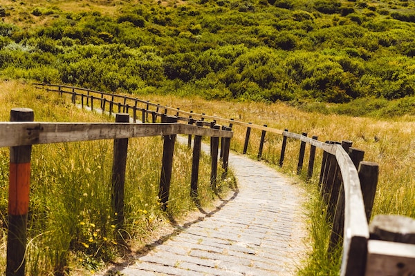 Foto van Modern chalet vlakbij de kust - Vakantiehuis in Hollum - AreaSummer5KM