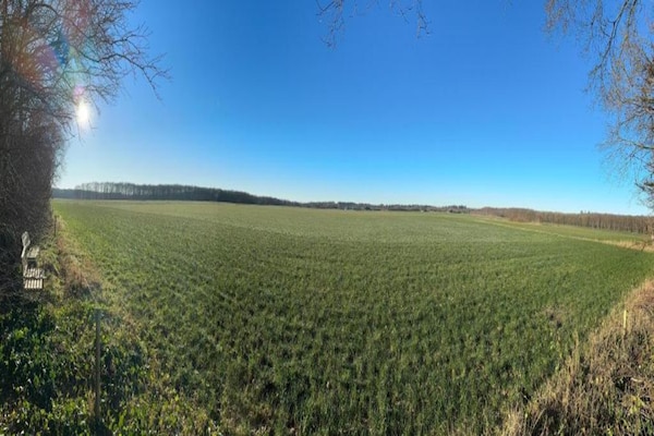 Foto van Chalet met vaatwasser nabij natuurreservaat - Vakantiehuis in Borger - AreaSummer20KM