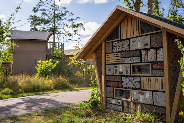 Foto van Safaritent vlakbij Lauwersmeerpark - Vakantiehuis in Vierhuizen - ParkFacilities