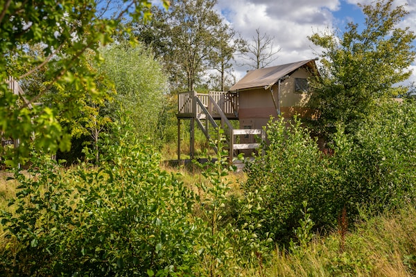 Foto van Safaritent vlakbij Lauwersmeerpark - Vakantiehuis in Vierhuizen - ParkFacilities