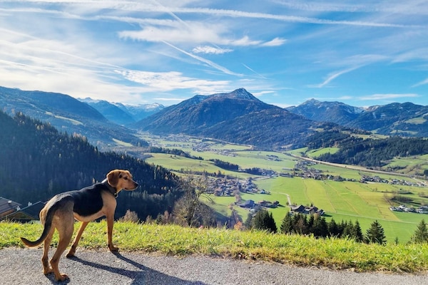 Foto van Vakantiehuis in Flachau - Vakantiehuis in Flachau - AreaSummer5KM