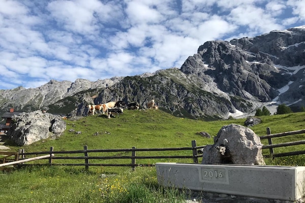 Foto van Chalet in Dienten met Ski-In Toegang - Vakantiehuis in Dienten am Hochkönig - AreaSummer5KM