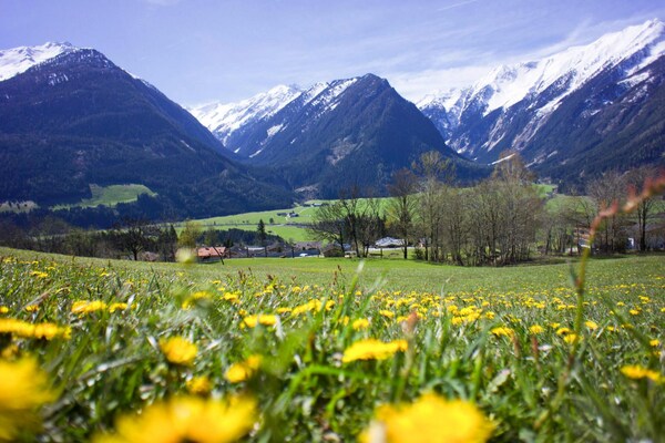 Foto van Appartement in Hohe Tauern met Bergzicht - Vakantiehuis in Neukirchen - ViewSummer