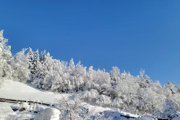 Foto van Appartement in Hohe Tauern bij Wildkogel - Vakantiehuis in Neukirchen - ViewWinter