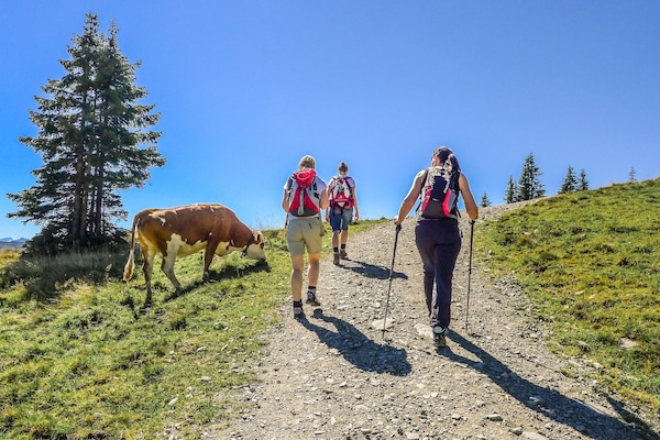 Foto van Appartement in Brixen bij Wilder Kaiser Gondel - Vakantiehuis in Brixen im Thale - AreaSummer5KM