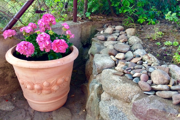 Foto van Familievilla aan de Oostzee - Vakantiehuis in Mielenko - GardenSummer