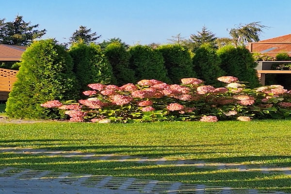 Foto van Appartement bij Szczecin Lagune - Vakantiehuis in Stepniczka - GardenSummer