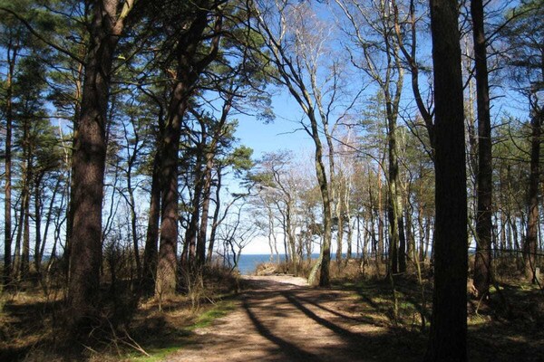 Foto van Claudia Comfortabele vakantiewoning - Vakantiehuis in Lukecin - Untagged