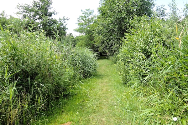 Foto van Lakeside Haven in het hart van Wolin - Vakantiehuis in Kołczewo - GardenSummer