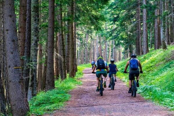 Foto van Vakantiehuis aan het meer, sauna, boot, fietsen - Vakantiehuis in Przewóz - AreaSummer1KM