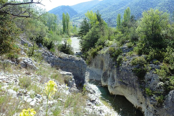 Foto van Malaucène Garden Appartement Verblijf - Vakantiehuis in Malaucène - AreaSummer5KM