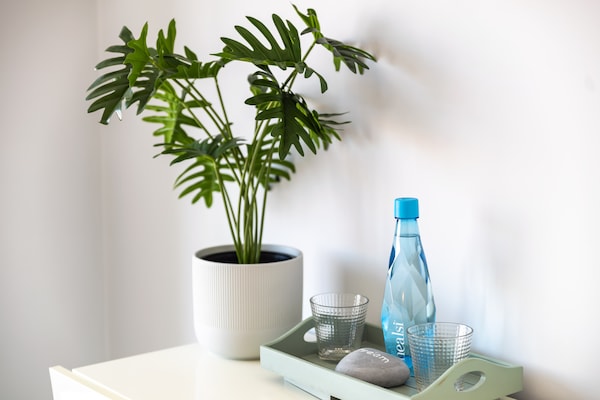 Foto van Appartement met uitzicht op het strand van Benagil - Ambiance