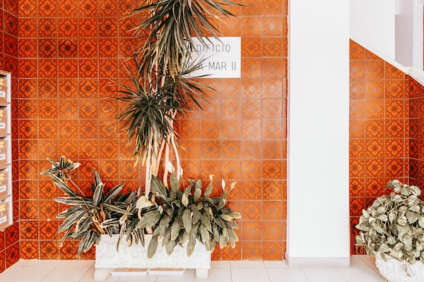 Foto van Lissabonse parel, loopafstand naar Chiado - Vakantiehuis in Armação de Pêra - Outdoor