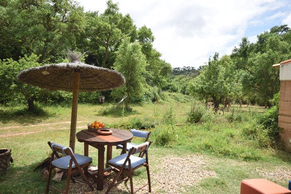 Foto van Huis São Luís bij Vicentine Kustpark - Vakantiehuis in Sao Luís - TerraceBalcony