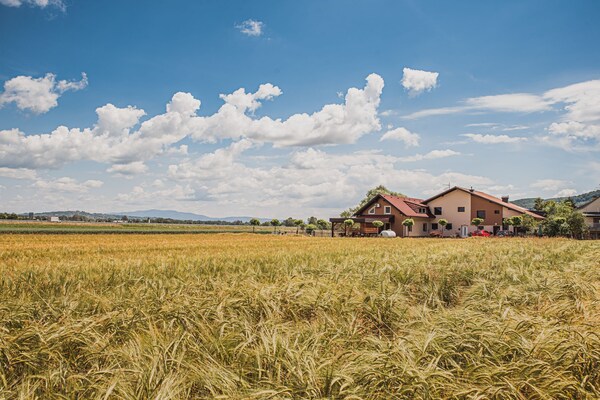 Foto van Elegant and Stylish Retreat Apartments with Terrace - Three Bedroom Apartment with Terrace - Outdoor